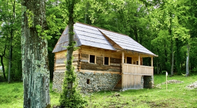 Drewno vs cegła - domy z drewna